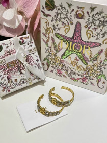 Dior Gold Horse Eye Crystal Wheat Ear Chain Hoop Earrings-3703